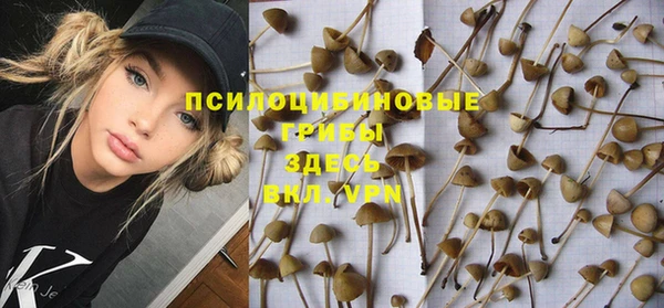соль ск Касимов