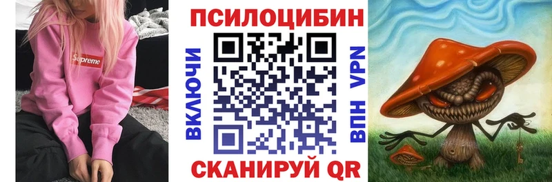 Купить закладки  Дербент  Псилоцибиновые грибы Psilocybe 